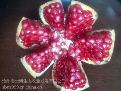 供应镇江台球桌丹阳台球桌扬中台球桌奥德威台球桌星牌台球桌|乒乓球|乒乓球用品|运动户外|产品|中国黄页网