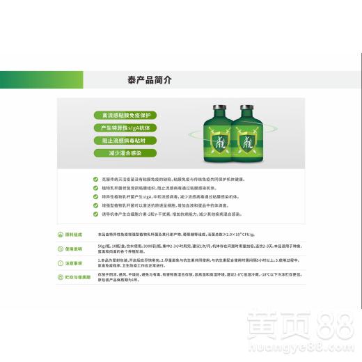 【镇江泰预防流感抗病毒免疫微生态批发 欢迎来电咨询】- 