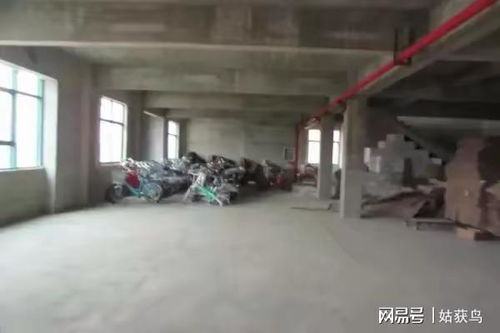 镇江大型工厂成功拍卖，1835万元成交彰显产业活力