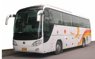 镇江黄页 连接城市生活与商业服务的桥梁